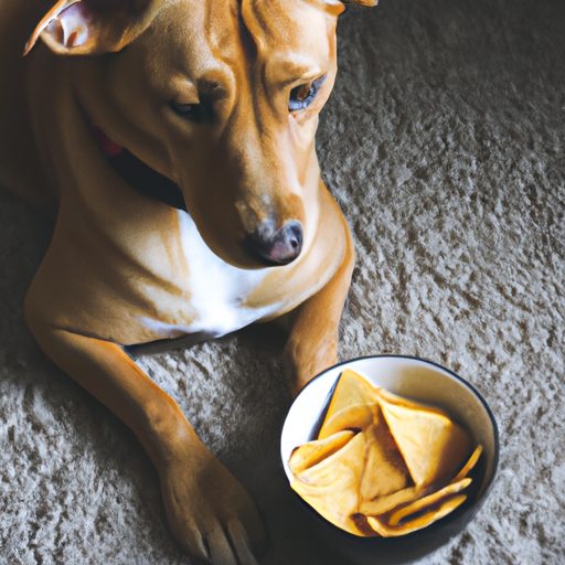 Can Dogs Eat Pita Chips? Nutrition Facts & FAQ