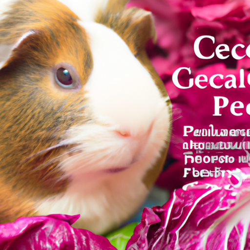 Can Guinea Pigs Eat Radicchio? Vet-Reviewed Facts & Tips