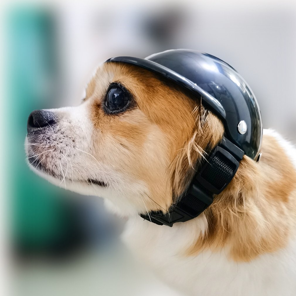 Pet Motorcycle Helmet: Safe and Reliable Headwear for Dogs and Cats, Decorative Pet Toy Accessory