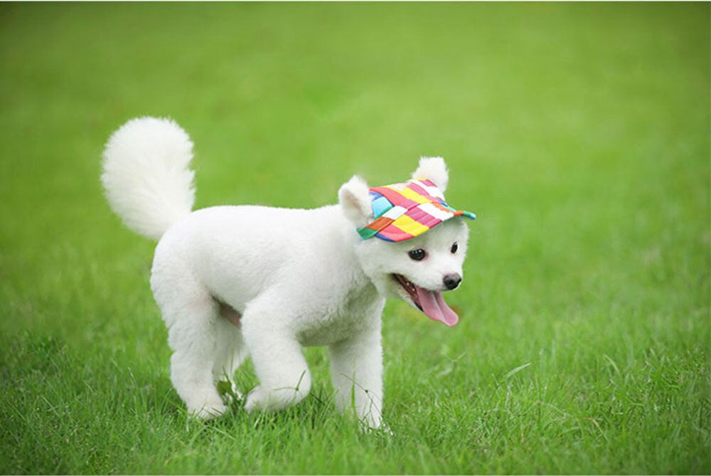 Adjustable Dog Sun Hat: Cap with Ear Holes and Drawstring for Small, Medium, and Large Dogs