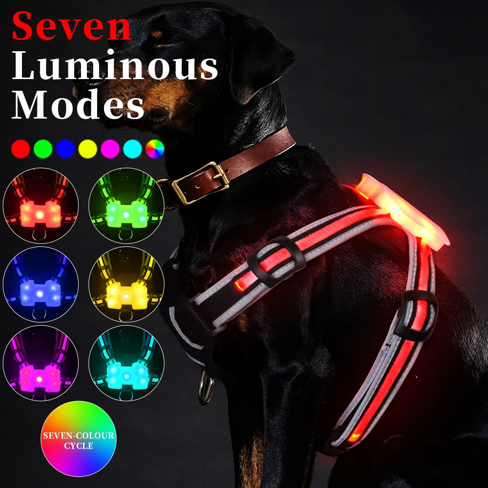 Color LED Dog Harness with Free AirTag Slot - USB Rechargeable Glowing Vest for Large Dogs, Safe Night Walking Puppy Collar