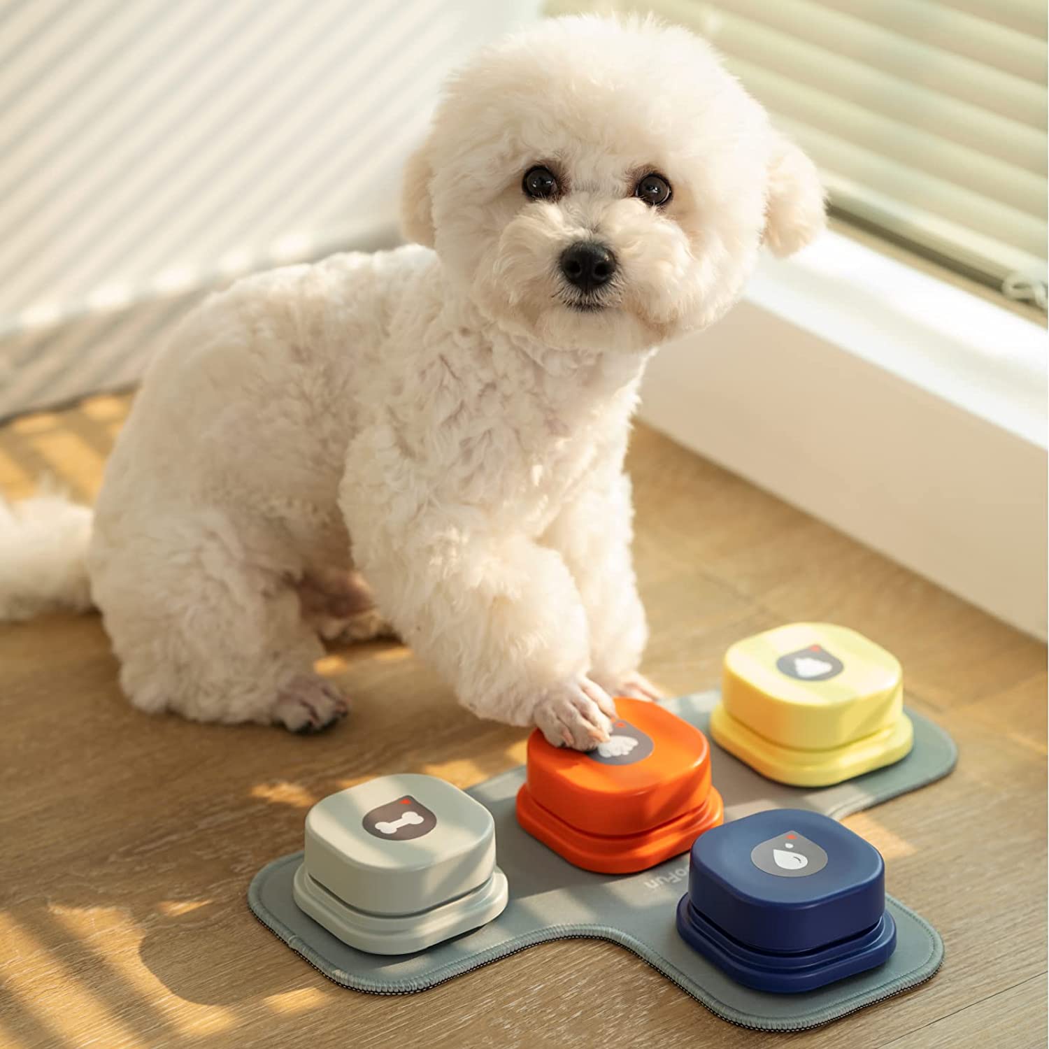 Interactive Voice-Recording Dog Training Buttons