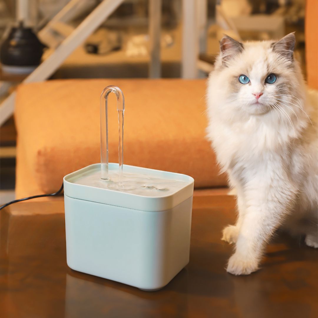 Premium Electric Cat/dog Water Fountain with Filter 1.5L