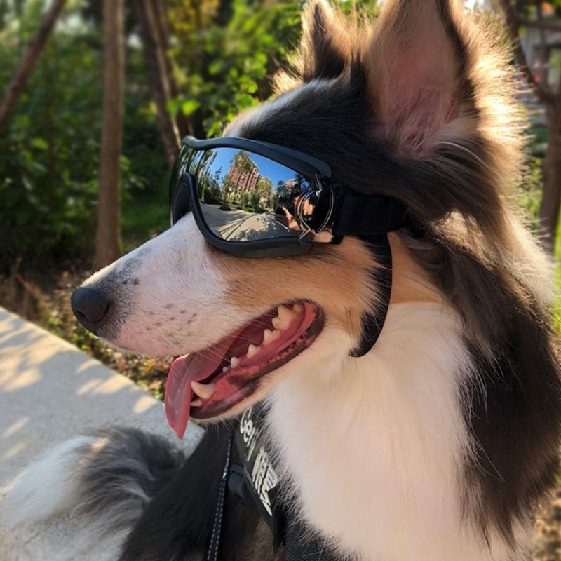 Adjustable Pet Dog Goggles Sunglasses Anti-UV Sun Glasses Eye Wear Protection Waterproof Windproof Sunglasses Pet Dog Supplies